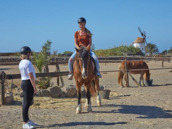 Tara, the horse farm for mindfulness & communication: horseback riding