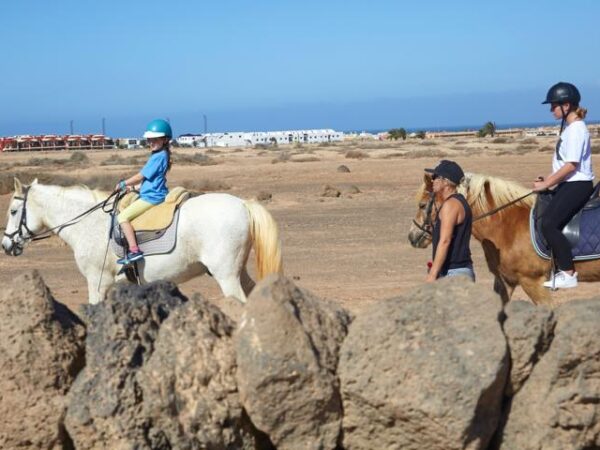 Tara, the horse farm for mindfulness & communication: horseback riding