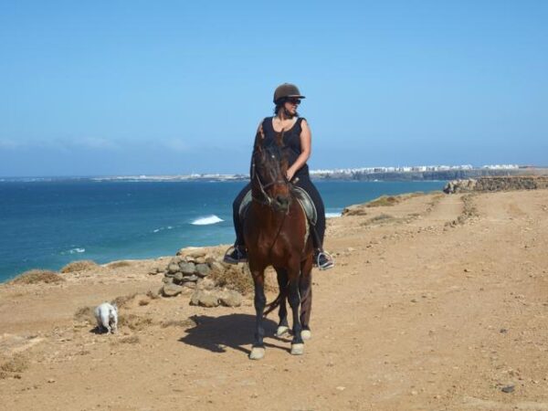 Tara, the horse farm for mindfulness & communication: horseback riding