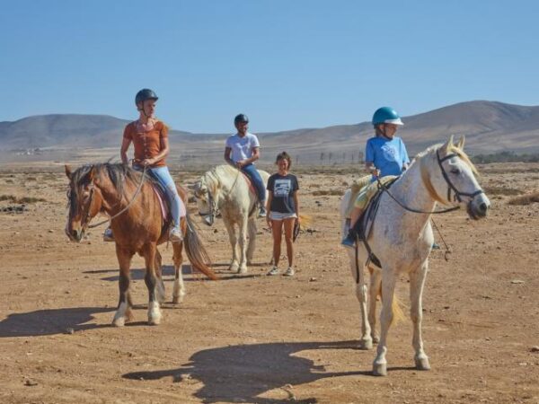 Tara, the horse farm for mindfulness & communication: horseback riding