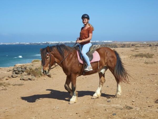 Tara, the horse farm for mindfulness & communication: horseback riding