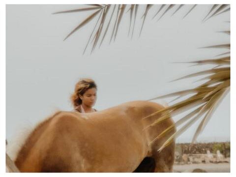 Tara, der Pferdehof für Achtsamkeit & Kommunikation