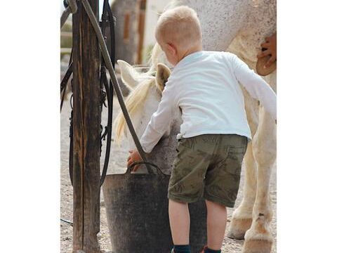 Tara, the horse farm for mindfulness & communication