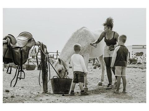 Tara, the horse farm for mindfulness & communication