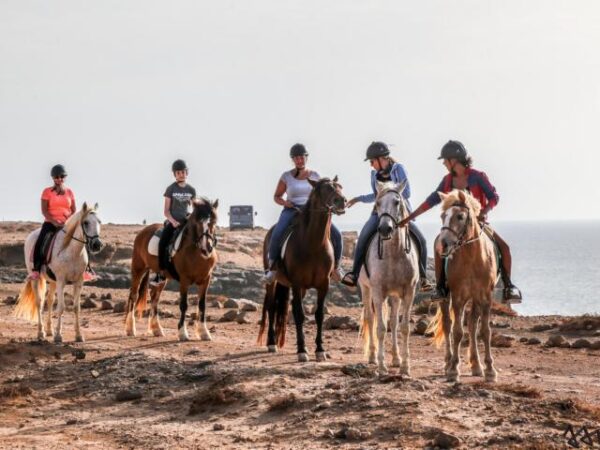 Tara, the horse farm for mindfulness & communication: horseback riding