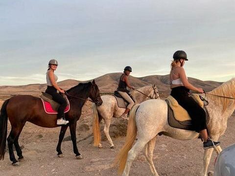 Tara, the horse farm for mindfulness & communication