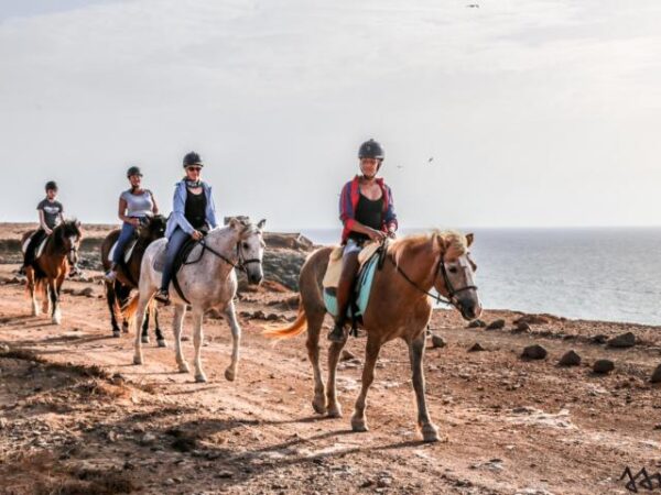 Tara, the horse farm for mindfulness & communication: horseback riding