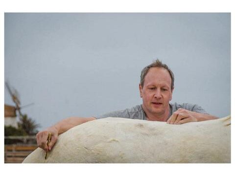 Tara, the horse farm for mindfulness & communication