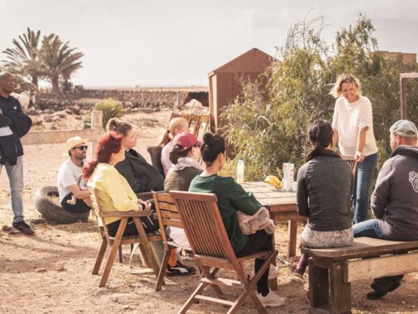 Tara, the horse farm for mindfulness & communication: Camp