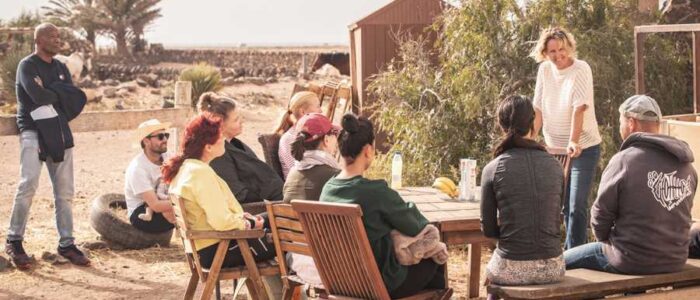 Tara, the horse farm for mindfulness & communication: Camp