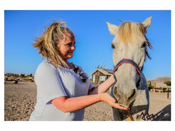 Tara, the horse farm for mindfulness & communication: horseback riding