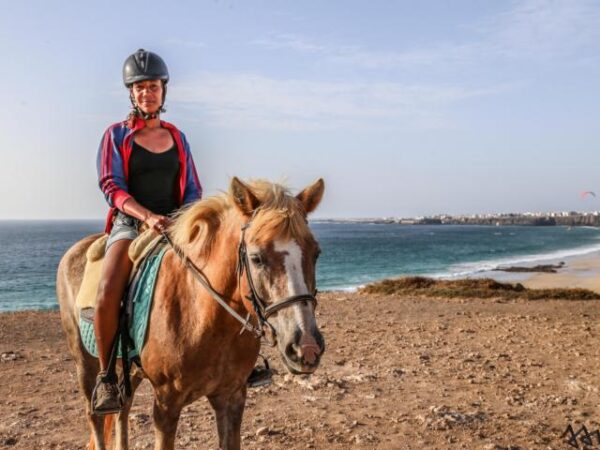 Tara, the horse farm for mindfulness & communication: horseback riding