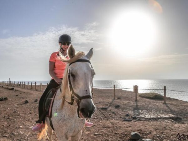 Tara, the horse farm for mindfulness & communication: horseback riding