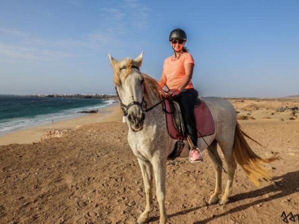 Tara, the horse farm for mindfulness & communication: horseback riding