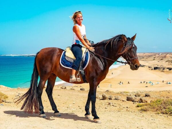 Tara, the horse farm for mindfulness & communication: horseback riding