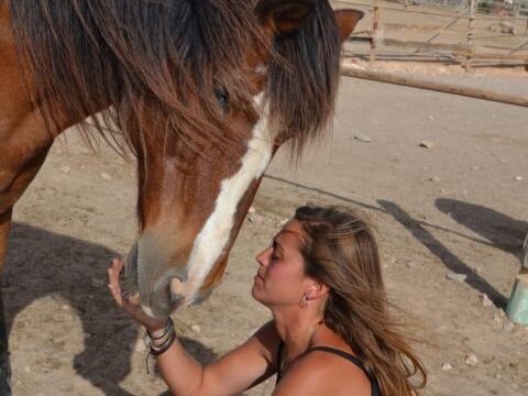 Tara, the horse farm for mindfulness & communication: Camp
